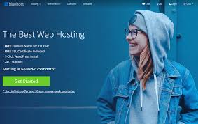 Bluehost Review 2025: Best Web Hosting Platform